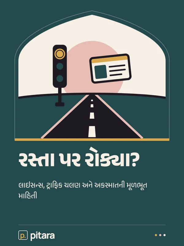રસ્તા પર રોક્યા? cover