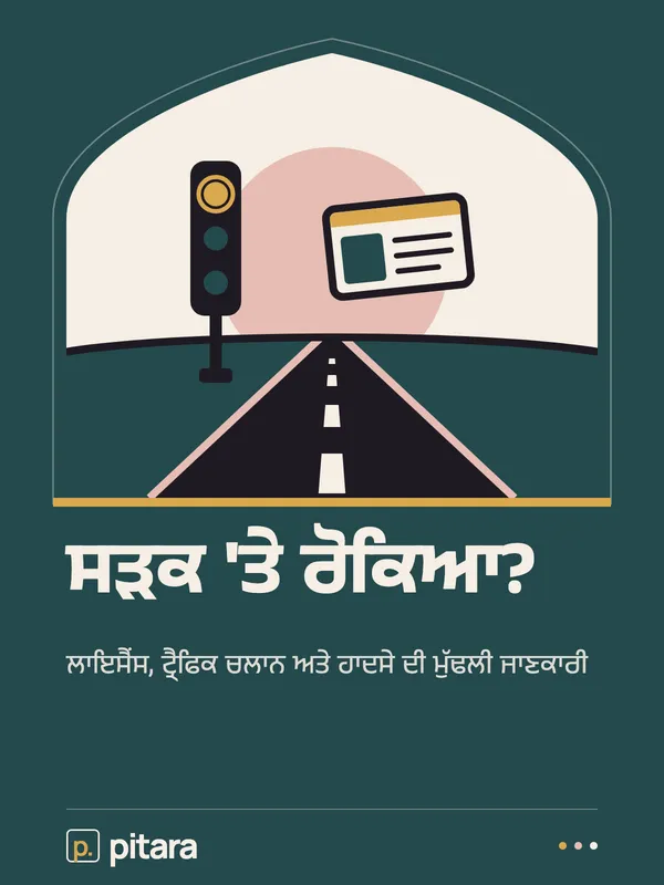 ਸੜਕ 'ਤੇ ਰੋਕਿਆ? cover